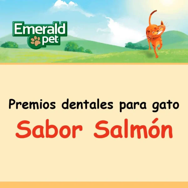 DENTALT-CATSALMON 3 PREMIOS DENTALES PARA GATO DENTAL TREATS SABOR SALMON