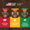 ALIMENTO HUMEDO PARA PERRO EN SOBRE HEALTHY CRAVINGS 12 PIEZAS