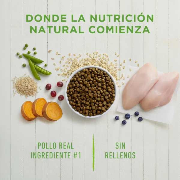 INSTB-DOGP11 3 ALIMENTO SECO PARA PERRO INSTINCT BE NATURAL POLLO 11.3 KG