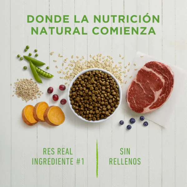 INSTB-DOGRS2 3 ALIMENTO SECO PARA PERRO INSTINCT BE NATURAL RES 2 KG