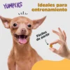 RECOMPENSA PARA PERROS YUMPERS TRICKS TREATS TOCINO