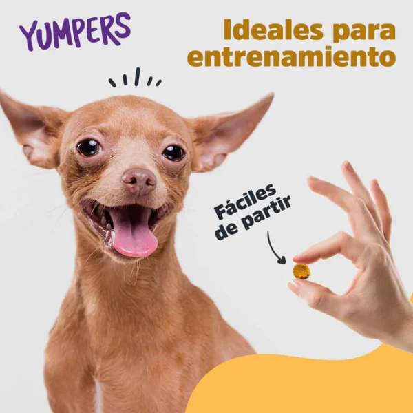 YUMP-POLLO 4 RECOMPENSA PARA PERROS YUMPERS TRICKS TREATS TOCINO